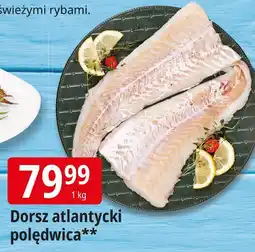 E.Leclerc Dorsz atlantycki polędwica Leclerc oferta