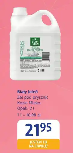 dm drogerie markt Żel pod prysznic Biały Jeleń oferta