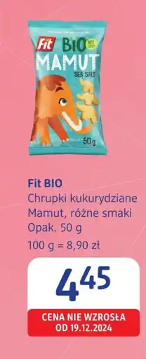 dm drogerie markt Chrupki kukurydziane Fit Bio oferta