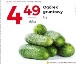 Frac Ogórek oferta