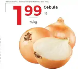 Frac Cebula oferta