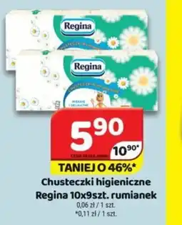 Delfin Chusteczki higieniczne Regina oferta