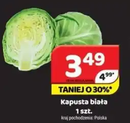 Delfin Kapusta biała oferta