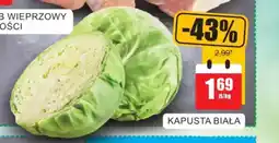 Bingo Kapusta biała oferta