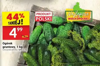 Twój Market Ogórek gruntowy oferta