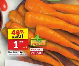 Twój Market Marchew oferta