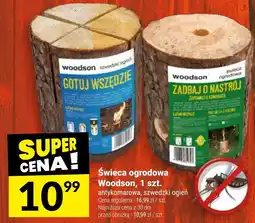 Twój Market Swieca ogrodowa Woodson oferta