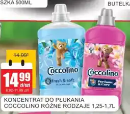 Bingo Koncentrat do płukania coccolino oferta