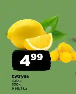 Netto Cytryna Netto oferta
