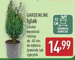 ALDI Gardenline iglak oferta
