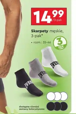Biedronka Skarpety męskie Everlast oferta