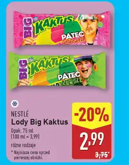 ALDI Nestle Lody Big Kaktus oferta