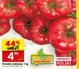 Twój Market Pomidor malinowy oferta
