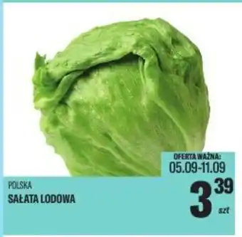 TomiMarkt Sałata lodowa oferta