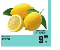 TomiMarkt Cytryna oferta