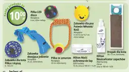 E.Leclerc Drapak dla kota oferta