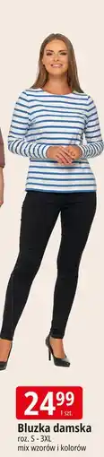 E.Leclerc Bluzka damska s-3xl Moraj oferta
