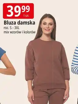 E.Leclerc Bluza damska s-3xl Moraj oferta