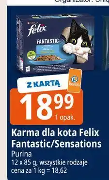 E.Leclerc Karma dla kota rybne smaki Purina Felix Fantastic Duo oferta