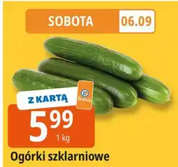 E.Leclerc Ogórek szklarniowy oferta