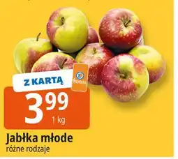 E.Leclerc Jabłka młode oferta