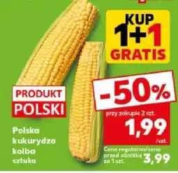 Kaufland Kukurydza kolba Kaufland oferta