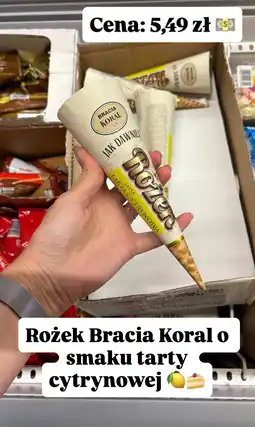 Dino Rożek Jak Dawniej o smaku tarty cytrynowej Bracia Koral oferta