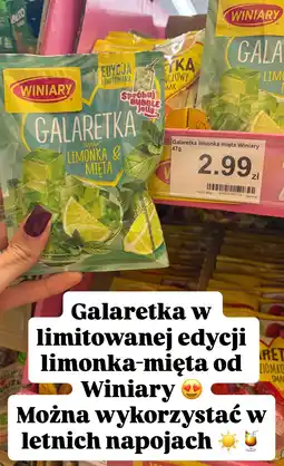 Dino Galaretka limonkowo-miętowa Winiary oferta