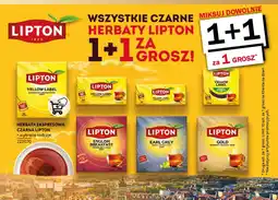 Selgros Herbata ekspresowa czarna lipton oferta