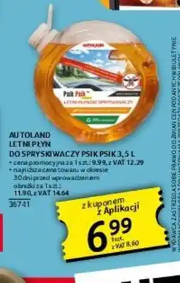 Selgros Autoland letni płyn do spryskiwaczy Psik Psik oferta