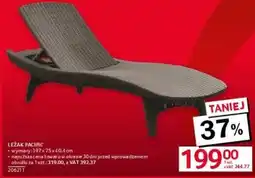 Selgros Leżak Pacific oferta