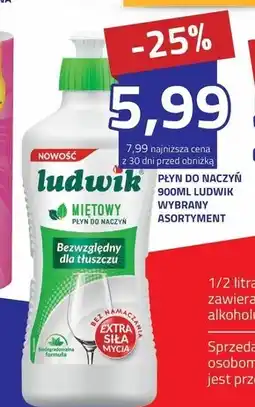 Hildebrandt Płyn do naczyń Ludwik oferta