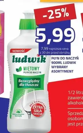 Hildebrandt Płyn do naczyń Ludwik oferta
