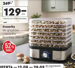 Biedronka Suszarka oferta