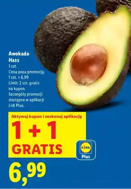 Lidl Awokado Hass oferta