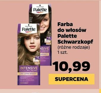 Netto Farba do włosów Palette Schwarzkopf oferta