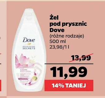 Netto Żel pod prysznic Dove oferta
