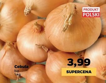 Netto Cebula oferta