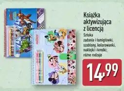 ALDI Książka aktywizująca z licencją oferta