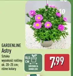 ALDI Astry Gardenline oferta