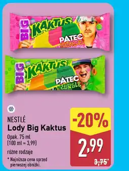 ALDI Nestle Lody Big Kaktus oferta