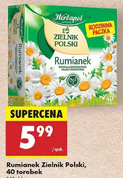 Biedronka Rumianek Zielnik Polski oferta