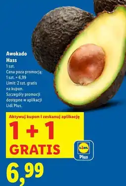 Lidl Awokado Hass oferta