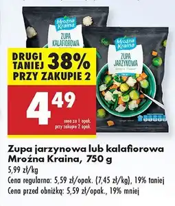 Biedronka Zupa jarzynowa lub kalafiorowa Mroźna Kraina oferta