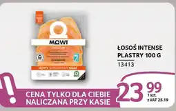 Selgros Losoś Intense plastry oferta