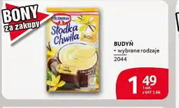 Selgros Budyń oferta