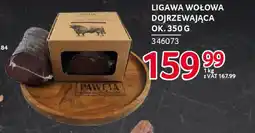 Selgros Ligawa wołowa dojrzewająca pawęta oferta
