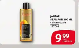 Selgros Szampon Jantar oferta