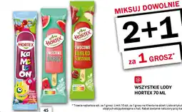 Selgros Lody Hortex oferta
