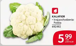Selgros Kalafior oferta